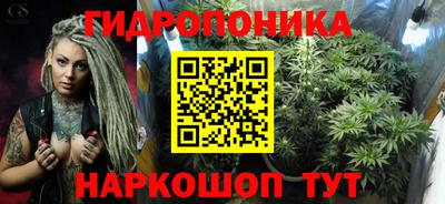 стаф Донской