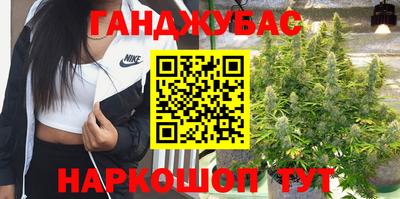 стаф Донской