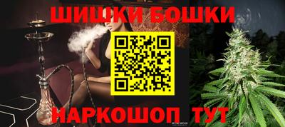 стаф Донской