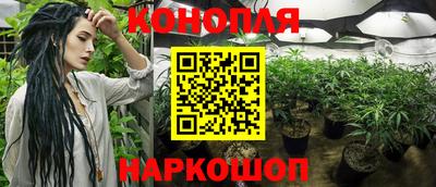 стаф Донской