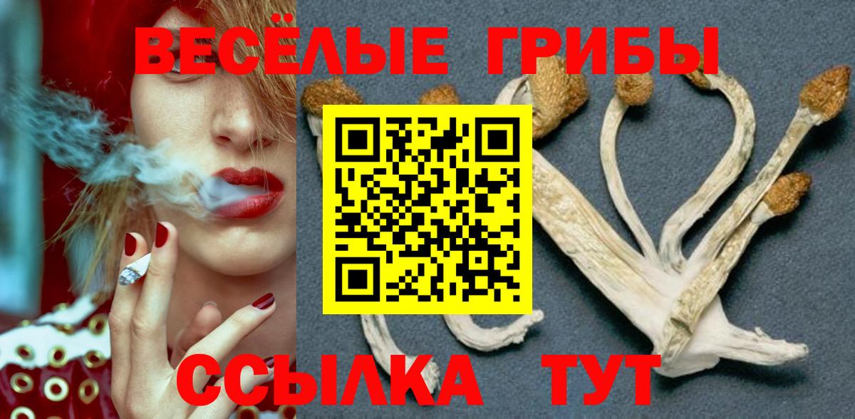 Галлюциногенные грибы MAGIC MUSHROOMS  Вход с VPN  Нарткала 