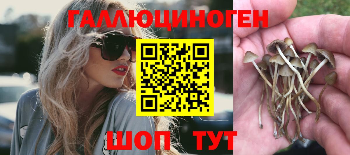 Галлюциногенные грибы Cubensis Нарткала